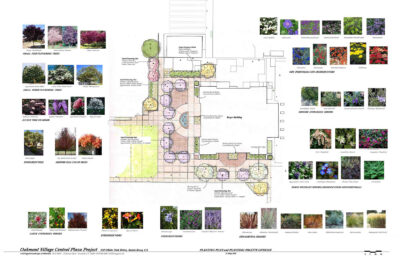 napa landscape architect design plant plan
